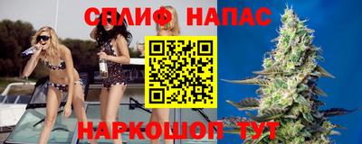 амф Апшеронск