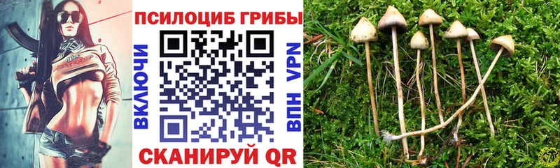 hydra ссылка  Междуреченск  Псилоцибиновые грибы MAGIC MUSHROOMS 