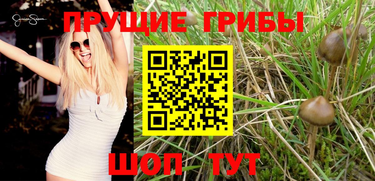 Междуреченск  Галлюциногенные грибы мухоморы  где найти наркотики  Вход с VPN 